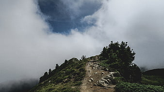 Misty Mountain Trail with Pine Trees and Clouds