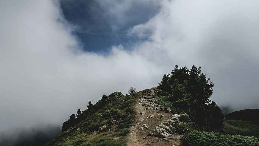 Misty Mountain Trail with Pine Trees and Clouds