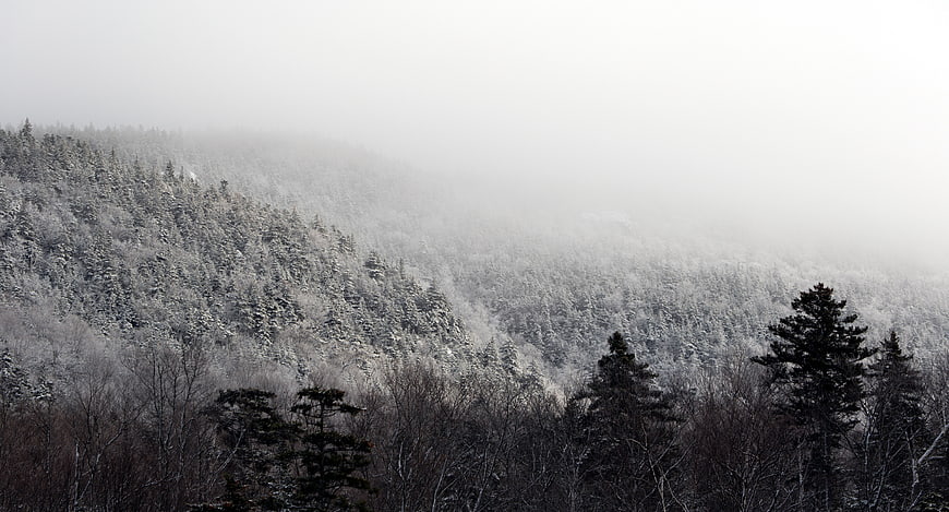 Snowy Winter Forest Landscape with Foggy Mountains