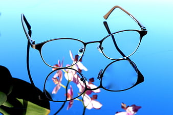Black Eyeglasses on Blue Surface with Flower Reflection