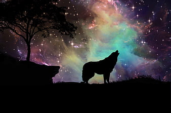 Silhouette of a howling wolf against a colorful nebula and starry night sky