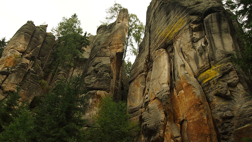Towering sandstone rock formations in a forest