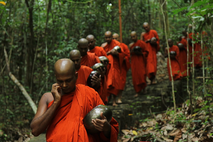 Buddhist monks in orange robes walking in a line through a lush green forest