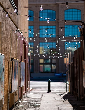 Empty Urban Alleyway with String Lights and Art Displays