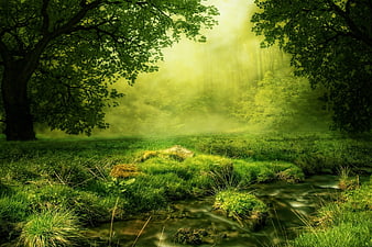 Mystical Green Forest Stream with Sunbeams and Mist