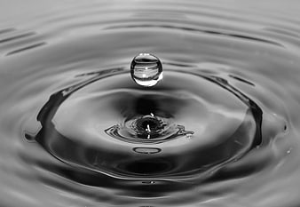 Black and white water droplet creating ripples in liquid