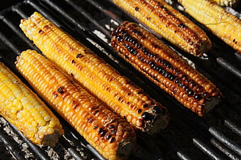 Grilled Corn on the Cob on BBQ Grill