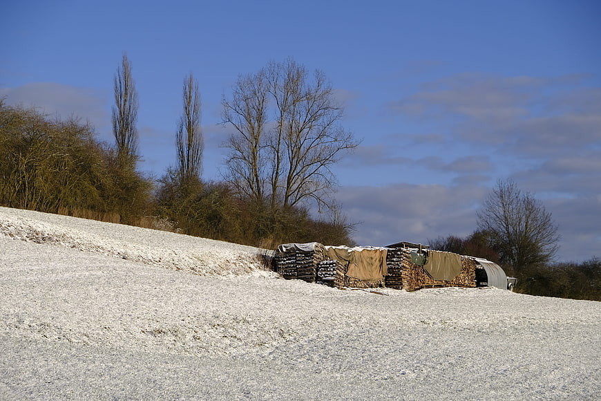 Stacked firewood covered in snow and frost on a winter hillside