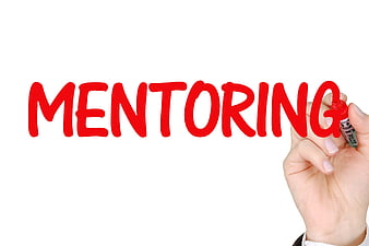 Hand Writing Mentoring on Whiteboard