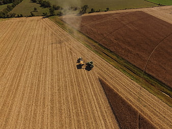 Aerial view of tractor harvesting golden wheat field