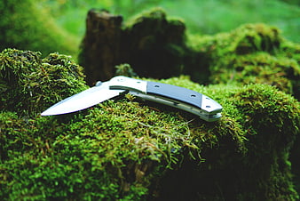 Silver folding pocket knife resting on green moss in forest