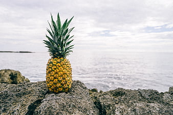 Fresh pineapple on rocky shore with ocean background