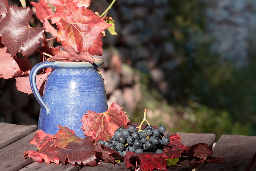 Blue ceramic pitcher with red grape leaves and grapes on wooden table