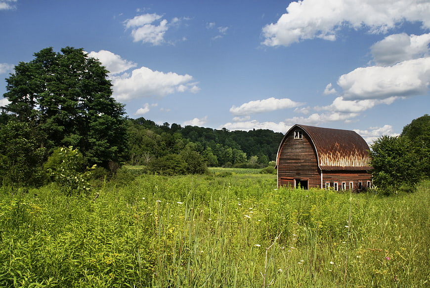 Rustic Red Barn in Green Field Under Blue Sky