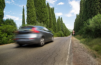 Silver car driving fast on scenic cypress-lined road