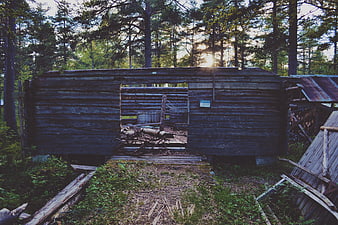Old wooden cabin in forest with sun flare