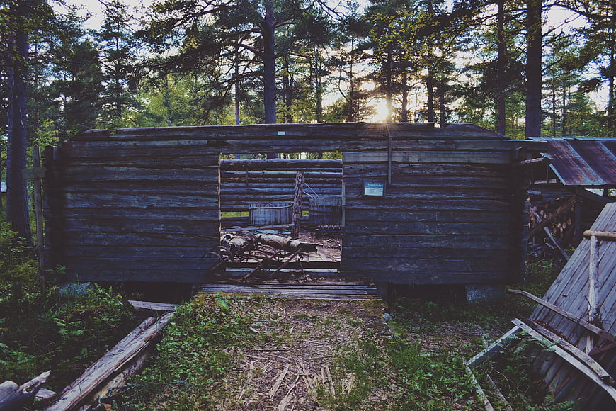 Old wooden cabin in forest with sun flare