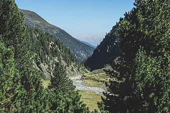 Scenic Alpine Valley with River and Pine Forest