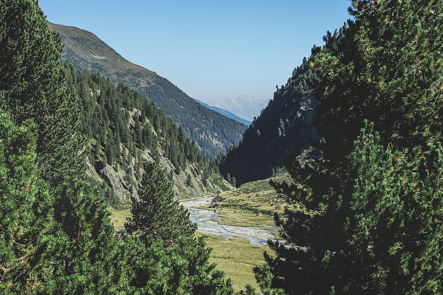 Scenic Alpine Valley with River and Pine Forest