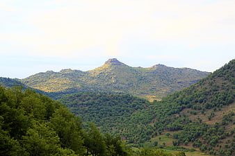 Scenic Mountain Landscape with Green Forests and Rolling Hills