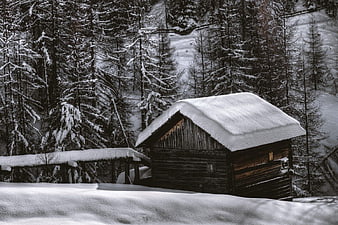 Snowy Wooden Cabin in Winter Forest Landscape