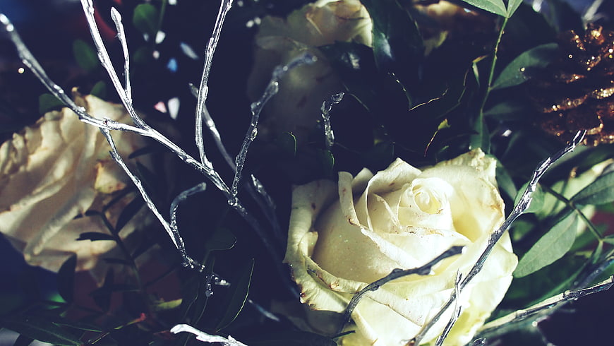 Close-up of white roses with silver branches and greenery