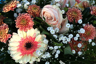 Close-up of colorful flower bouquet with roses and gerberas
