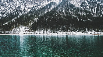 Serene Alpine Lake with Snow-Covered Mountains and Pine Forest