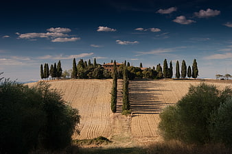 Tuscan Landscape with Cypress Trees and Villa