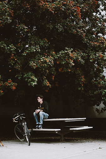 Young man sitting on bench with bicycle under tree