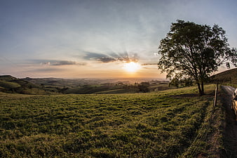 Sunset over rolling green hills with tree and road