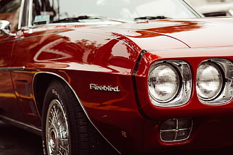 Close-up of Classic Red Pontiac Firebird Front Fender