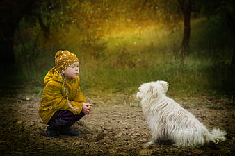 Little Girl in Yellow Jacket Squatting with White Dog in Autumn Park