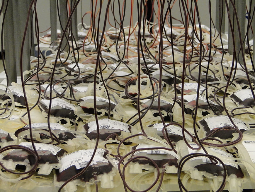 Rows of blood bags with tubing in a medical storage facility