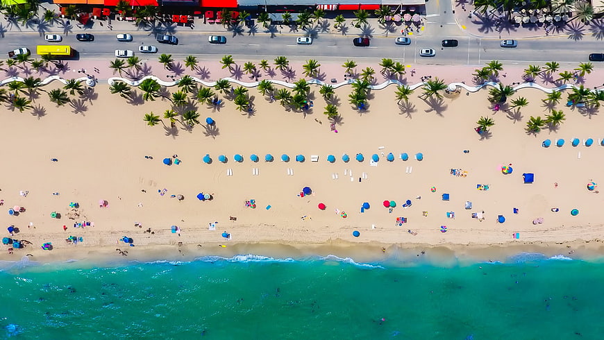 Aerial View of Tropical Beach with Palm Trees and Ocean