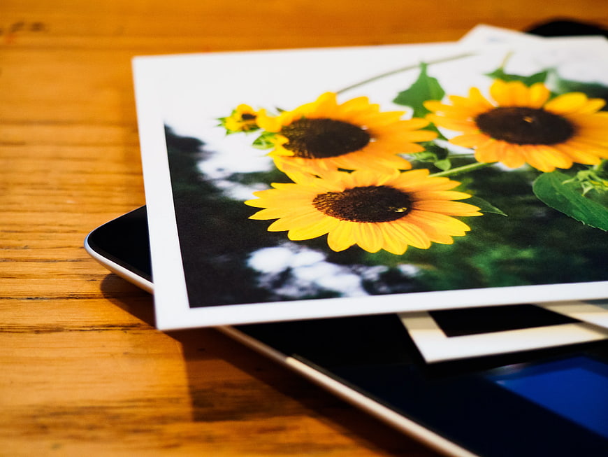 Printed Sunflower Photos on Digital Tablet