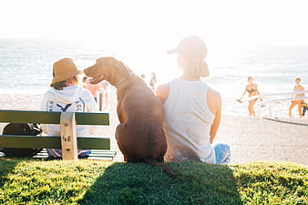 Woman and Dog Sitting on Grass Overlooking Beach