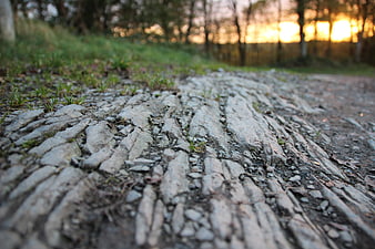Low angle view of cracked slate path in forest at sunset