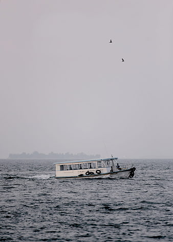 White passenger boat sailing on misty ocean with birds