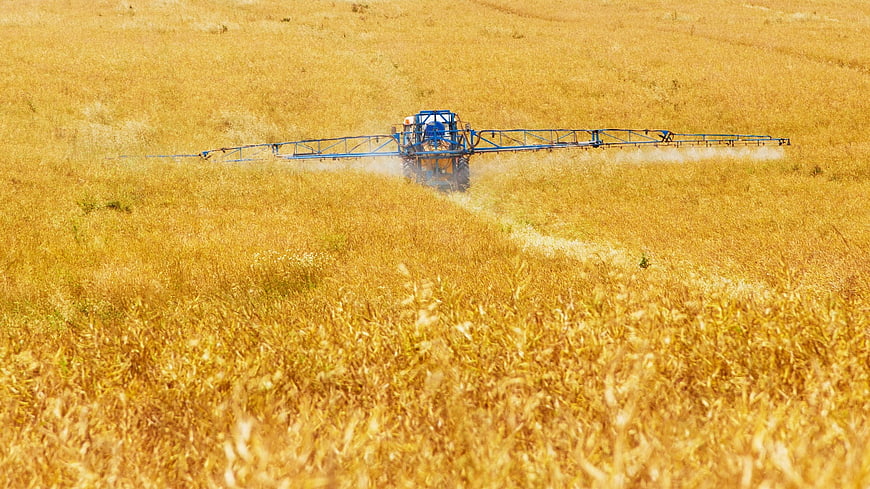 Blue Sprayer Tractor Spraying Golden Wheat Field