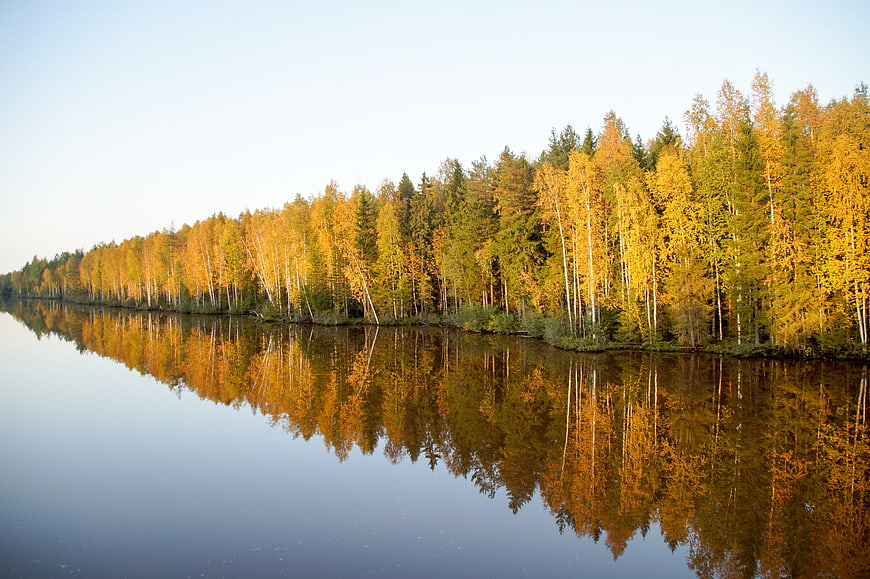 Serene Autumn Forest Reflection on Calm Lake
