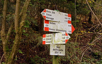 Hiking trail signpost in Italian forest with directional arrows