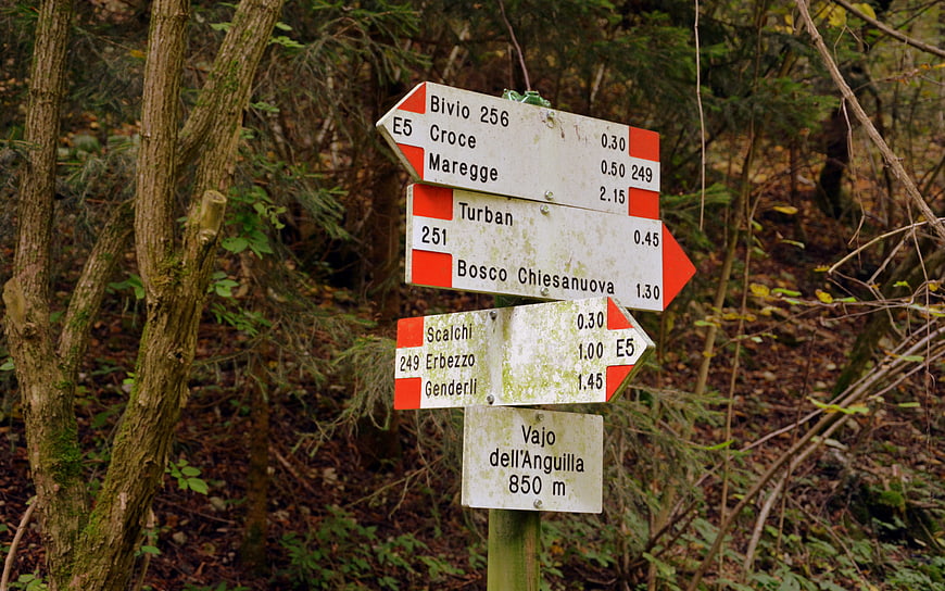 Hiking trail signpost in Italian forest with directional arrows