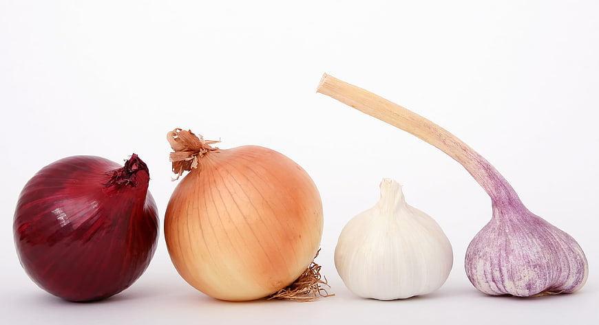 Red and yellow onions with garlic bulbs on white background