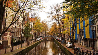 Amsterdam Canal in Autumn with Yellow Leaves and Traditional Architecture