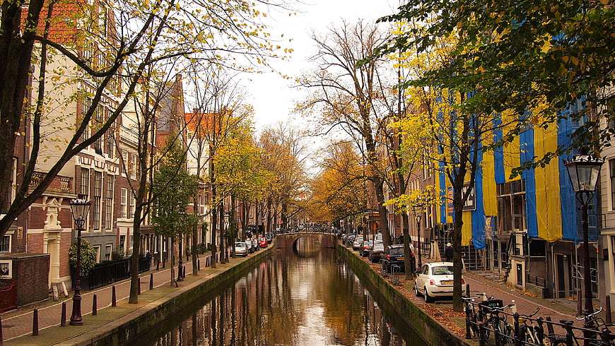 Amsterdam Canal in Autumn with Yellow Leaves and Traditional Architecture