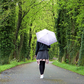 Woman Walking with Umbrella on Tree-Lined Path