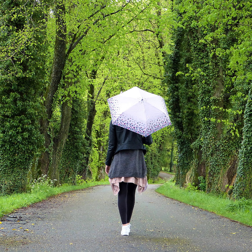 Woman Walking with Umbrella on Tree-Lined Path