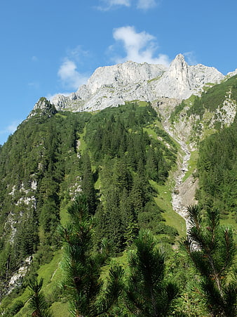 Majestic Alpine Mountain Peak with Pine Forest and Blue Sky