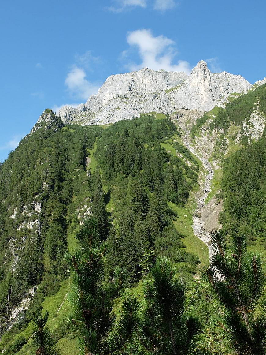 Majestic Alpine Mountain Peak with Pine Forest and Blue Sky